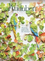 Audubon Magazine